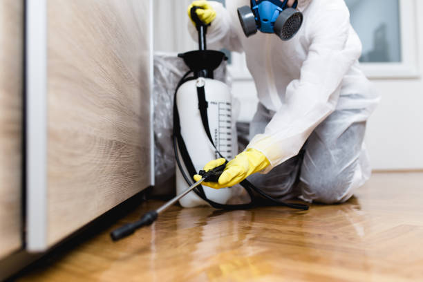 Best Residential Pest Control  in Wanatah, IN