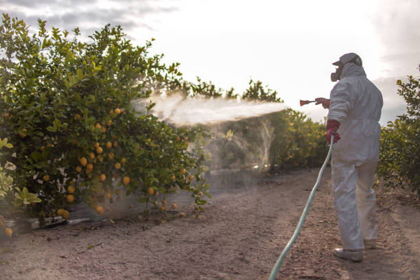 Best Local Pest Control Services  in Wanatah, IN