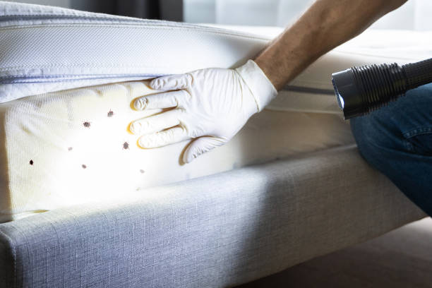 Best Affordable Pest Control Services  in Wanatah, IN