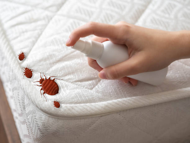 Best Bed Bug Extermination  in Wanatah, IN