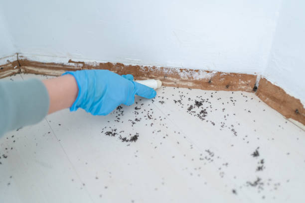 Best Best Pest Control Companies  in Wanatah, IN