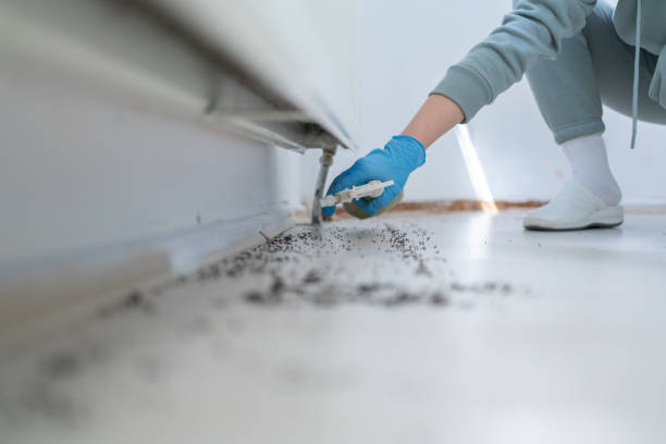Best Pest Prevention Services  in Wanatah, IN